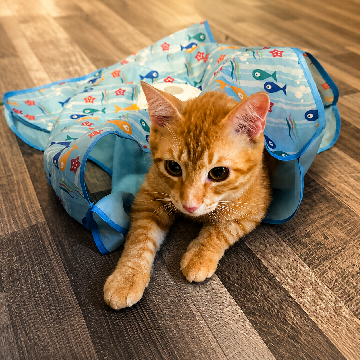 HuntMat™ Cat Toy