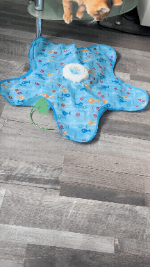 HuntMat™ Cat Toy