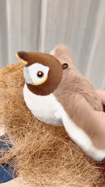 Chaos Bird™
